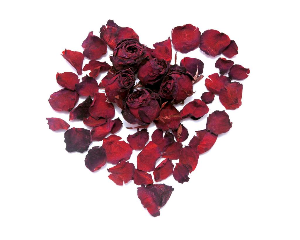 Healing of the&nbsp;heart